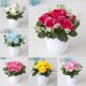 thumbnail image 1 of Gwong Decoración hogareña Flor Fake Flower Simulated Dinning Decor Decoración de plástico Dormitorio Imating Potted Flower para el hogar Gwong 21061534, 1 of 6