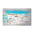 thumbnail image 1 of Betsy Drake DM1089G 30 x 50 in. Seven Sanderlings Door Mat - Large, 1 of 1