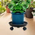 thumbnail image 6 of Miulika Plant with Wheels Plant Saucer Roller Flowerpot Tray Versatile Round Flower Pot Mover for Home 27cm, 6 of 9