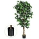 thumbnail image 1 of Ficus artificial 180 cm planta falsa decorativa con maceta 1008 hojas tronco natural Costway, 1 of 6