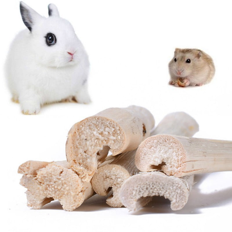can guinea pigs eat bamboo