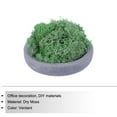 thumbnail image 3 of Uxcell 3.5 OZ Moss Preserved Moss Artificial Moss for Craft Floral Project Table Decor,Emerald Green, 3 of 6