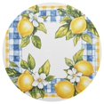 thumbnail image 3 of Ryvnso Lemon and Checkered Grid Pattern Round Plate Mats Dining Table Placemat Set of 6 for Holiday Decoration, 3 of 7