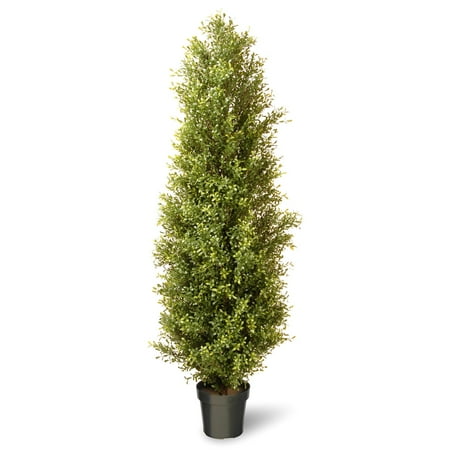 National Tree 72