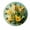 FFclock033, variant on ZXCXRQFa Dandelions Flower Plants Wall Clock Art Hanging Clocks Silent Non-Ticking Desk Clock Battery Operated Round Home Style Numeral Decorative Wall Clocks