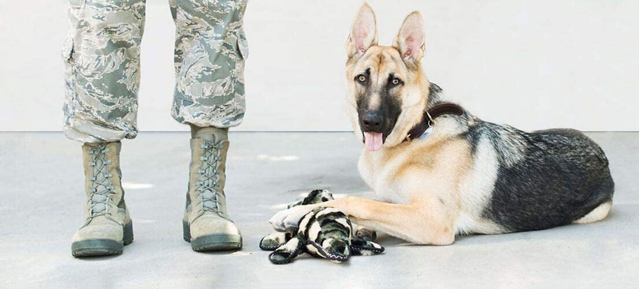 ZippyPaws 817064 Grunterz Plush Z-StitchCameron the Camo Gator Dog Toy - Extra Large