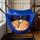 thumbnail image 5 of Yhmxh Hamaca de malla transpirable para jaula de gatos, cama colgante estilo cueva con juguete de pompón, nido suave para dormir para gatitos, gatos y mascotas pequeñas en jaulas, ideal para descan, 5 of 6