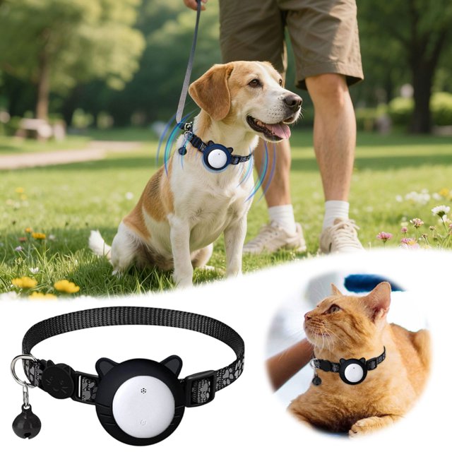 Oliegs Localisateur de Perte de Couverture pour Chats avec Collier Réglable, Dispositif de Suivi Réel pour Activité Intérieure et Extérieure