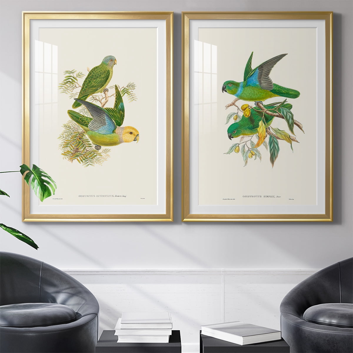 Wexford Home Lime & Cerulean Parrots I Premium Framed Print, 18.5" x 24.5" - Ready to Hang, Gold (Set of 2)
