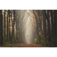 thumbnail image 2 of Great Art Now The Unknown Road by Martin Podt, Framed Wall Art, 27W x 20.5H, 2 of 2
