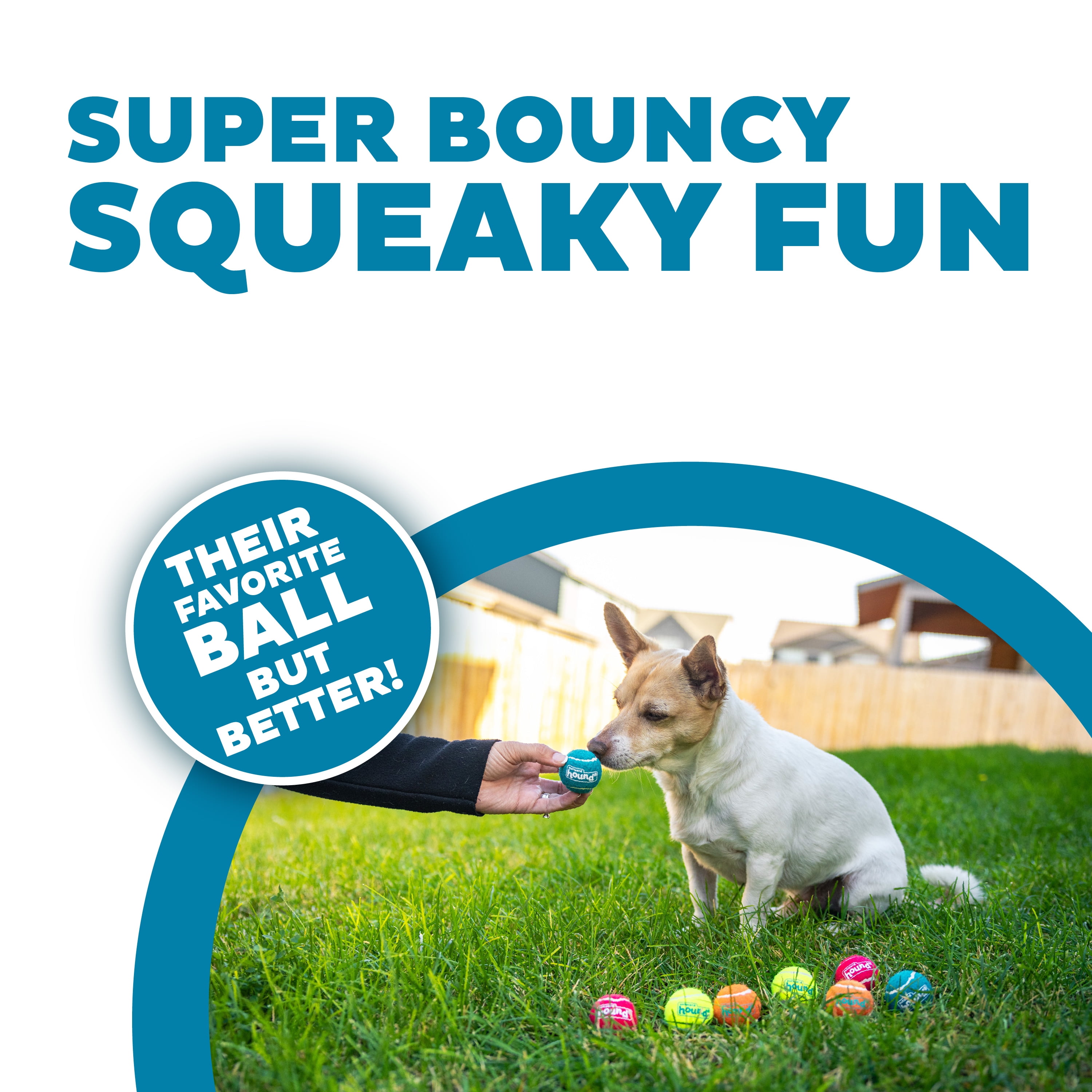 Outward Hound Squeaker Ballz – Squeaky Tiny Tennis Balls for Small Dogs Under 15 lbs, Fetch & Training, X-Small (1.5"), 8-Pack