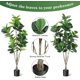 thumbnail image 4 of 6ft artificial multi-stem fiddle leaf ficus tree: fake green tree con pot para indoor y outdoor home, oficina, sala de estar, y bathroom decoration, 4 of 5