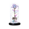 Super Store Online LED Foil Rose Glass Dome Fairy String Night Light for Valentine Day (Kiss)