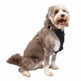 thumbnail image 2 of Acana, Puppy & Junior - Dry Dog Food, 2 of 2