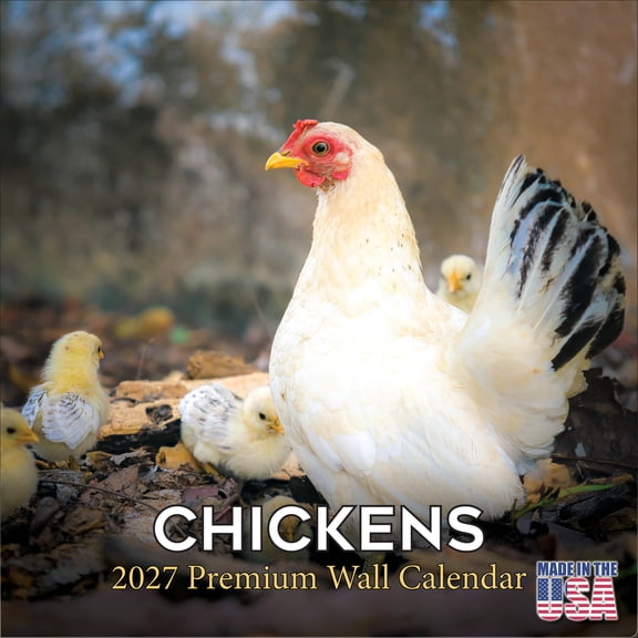 MegaCalendars 2026-2027 Chickens Wall Calendar, 12x12 Bonus Month Homestead Poultry Edition, Made in USA