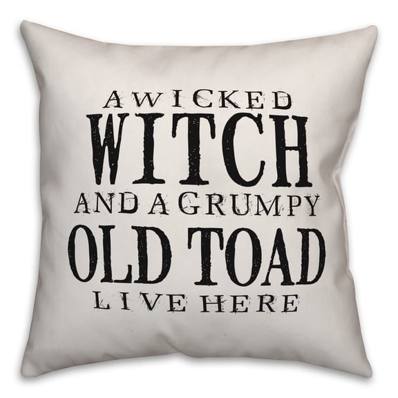 Creative Products A Wicked Witch and Grumpy Toad 20x20 Indoor / Outdoor Pillow
