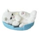 thumbnail image 3 of Simulación encantadora gato dormido para dormir gatos de juguete para dormir en estera Mini gatito versátil en la decoración de la almohadilla de, 3 of 9