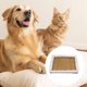thumbnail image 3 of Casa para mascotas transpirable, gato, mascota, cojín de hielo, cama cuadrada para mascotas en verano, 3 of 5