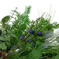 thumbnail image 2 of Northlight Blue berry Eucalyptus Pine Artificial Christmas Wreath 28", 2 of 6