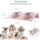 thumbnail image 1 of Comedero doble de acero inoxidable para gatos, Comedero doble para perros pequeños, Comedero doble para mascotas, Comedero doble para gatos, Comedero para gatos y perros - Rosa Xemadio QH-1069, 1 of 5