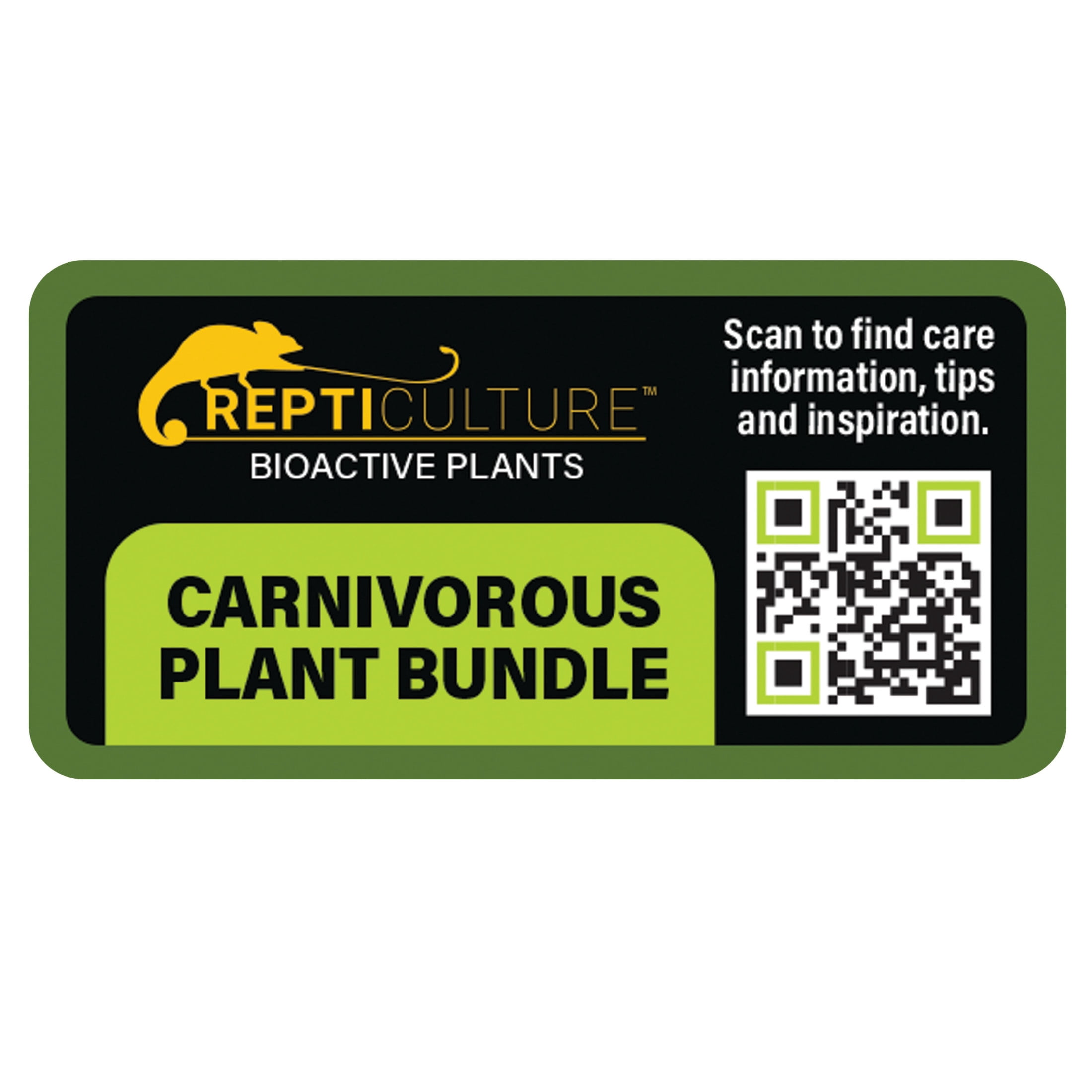 ReptiCulture Carnivorous Plant Bundle