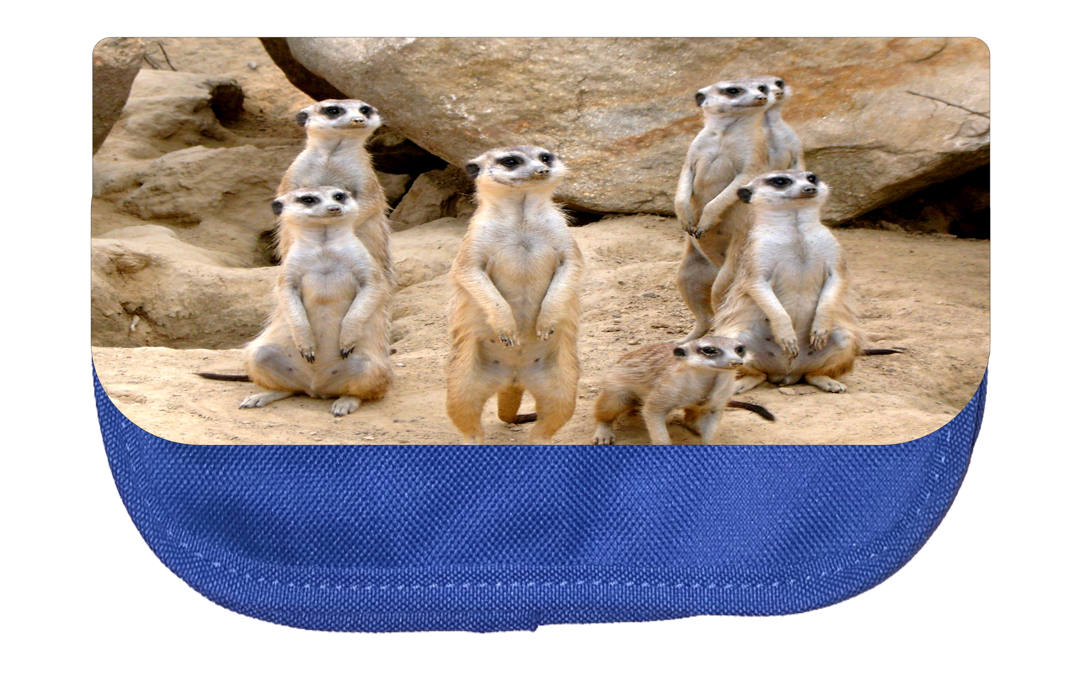 Pencil Pouch Animal Meerkats Pencil Pouch 2 Pocket Pencil Case