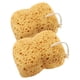 thumbnail image 1 of esponjas de panal para ducha y exfoliación corporal cómoda. Esponjas de baño para hombres y mujeres., 1 of 6