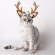 thumbnail image 2 of Diadema con astas de reno para perro y gato, disfraz navideño divertido para mascota L, 2 of 9