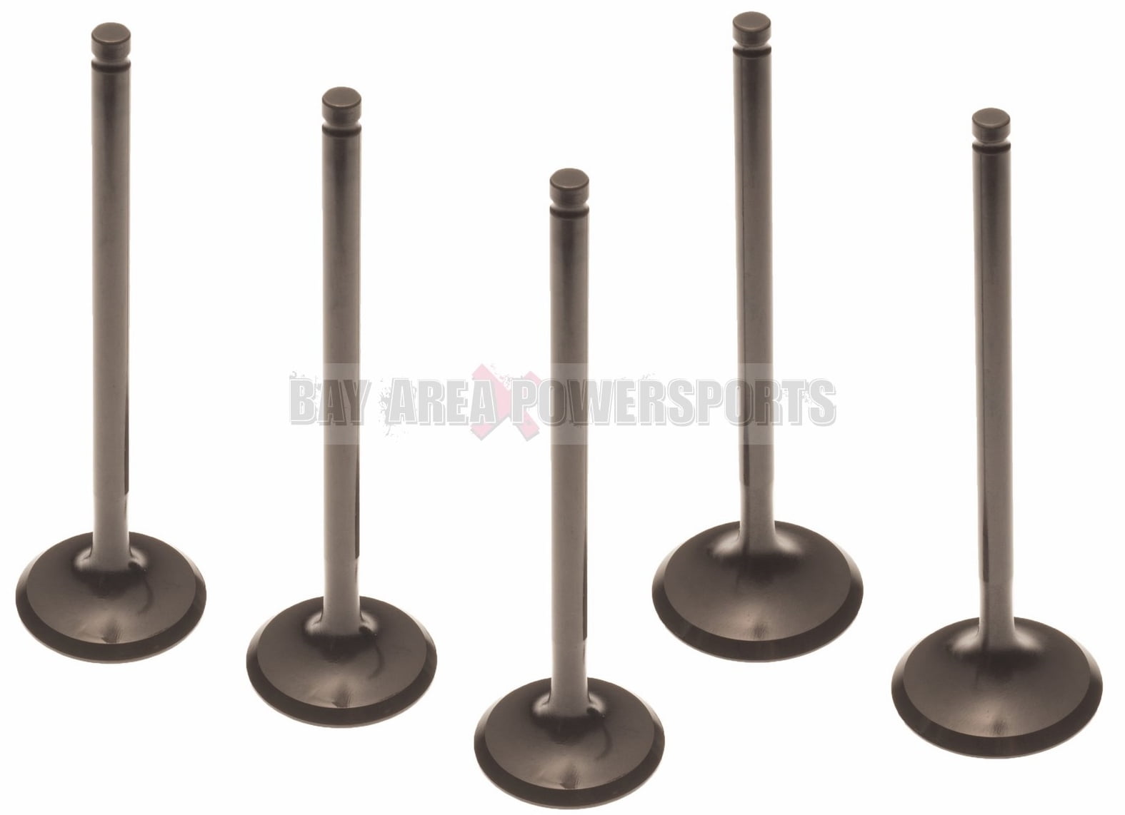 Yamaha Grizzly Rhino Raptor 660 3 Intake & 2 Exhaust Complete Valve Set