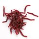thumbnail image 4 of Se?Uelos de Pesca, 4cm Insectos Blandos Lombriz de Tierra Cebo del Mar Gusano de Sangre Se?Uelos Ceb er Especie de Agua(100pcs / Pack) se?uelo de pesca Spptty Suministros de pesca, 4 of 6