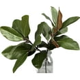 thumbnail image 2 of 2Pcs Realistic Magnolia Branches - Greenery for Home Table Vase, Indoor and Outdoor Decor, 2 of 6
