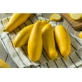 thumbnail image 5 of TomorrowSeeds - 5 Species Summer Squash Mix Seeds - 30+ Count - For 2025 Planting Heirloom Yellow, 5 of 11