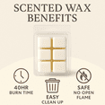 thumbnail image 2 of Luna Sense Halloween Sugar and Screams Wax Melts, Cotton Candy, 2.6oz, 2 of 5