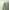 Sage, variant on Vantona 100% Cotton, 300 thread Count, Sateen Woven Deep Pocket 4-Piece Sheet Set Full Size - Ivory