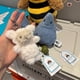 thumbnail image 1 of Muñeca Comida de Peluche Suave: El Regalo Perfecto para San Valentín y Cumpleaños de Todos los Edades, 1 of 1