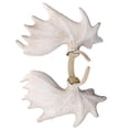 thumbnail image 3 of 1 diadema de asta para decoraciones de Halloween., 3 of 3