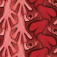 thumbnail image 1 of Ahgly Tapis d'Intérieur Lavable en Machine Carré Rouge Pamplemousse Transitionnel, 4 Pieds Carré, 1 of 7