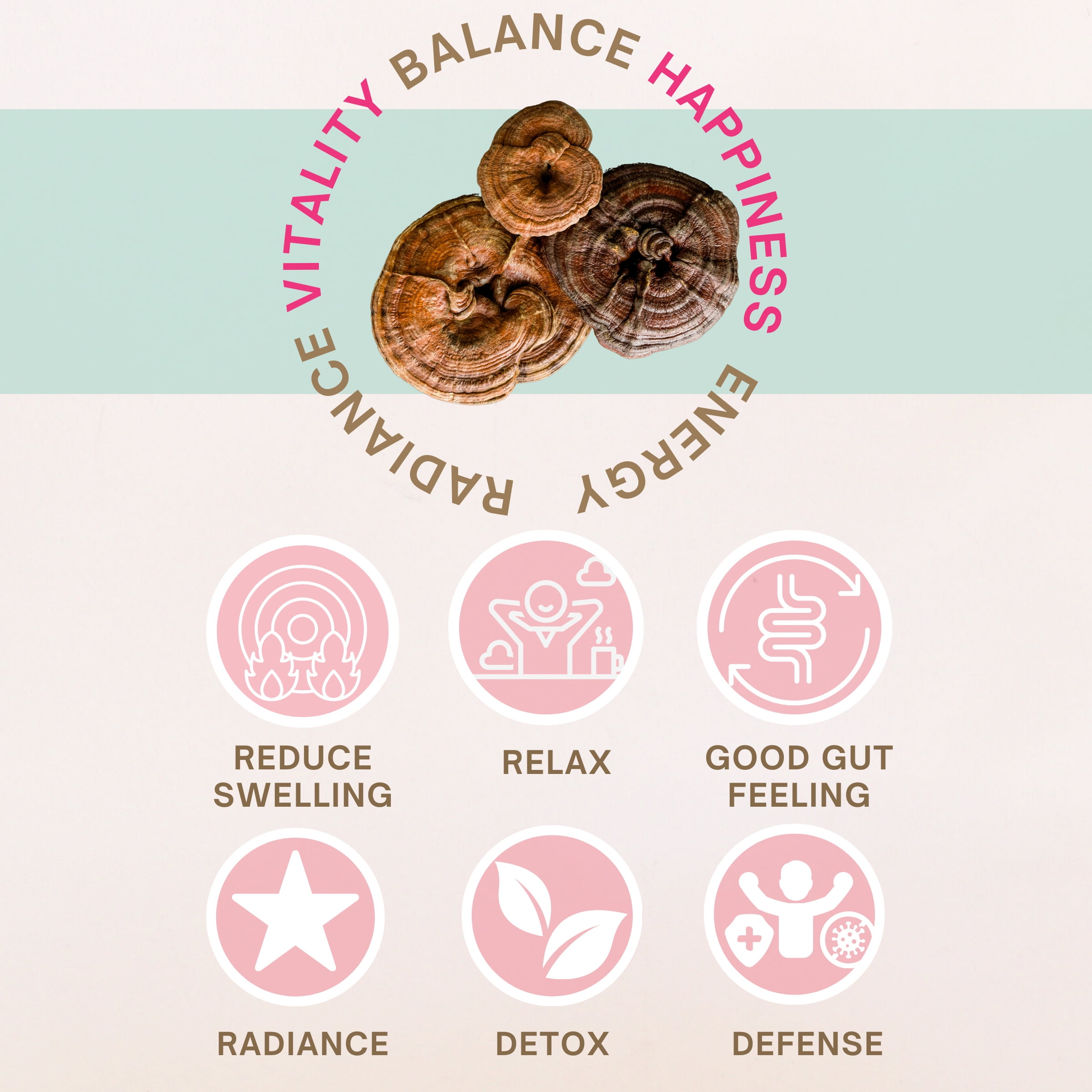 Eleven TLC, A Wellness Co Organic Reishi Mushroom Extract Powder, 40 Servings, 82 Grams