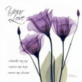 thumbnail image 2 of Koetsier, Albert 15x15 White Modern Wood Framed Museum Art Print Titled - Your Love - Purple Tulip, 2 of 4