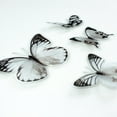 thumbnail image 4 of Black And White Butterfly Embellishments, 4 of 5