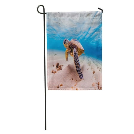 SIDONKU Endangered Hawaiian Green Sea Turtle Cruises in The Warm Waters of Pacific Ocean Hawaii Garden Flag Decorative Flag House Banner 12x18 (Best Time To Cruise Pacific Islands)