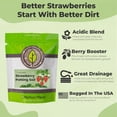 thumbnail image 2 of Organic Strawberry Potting Mix | Organic Premium Mix | Use with Strawberry's, Pineberry's, or Other Fruit Plants (4qt), 2 of 3