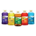 thumbnail image 6 of Pine-Sol CloroxPro Multi-Surface Cleaner, Original Pine, 60 Ounces 41773 Package May Vary, 6 of 10