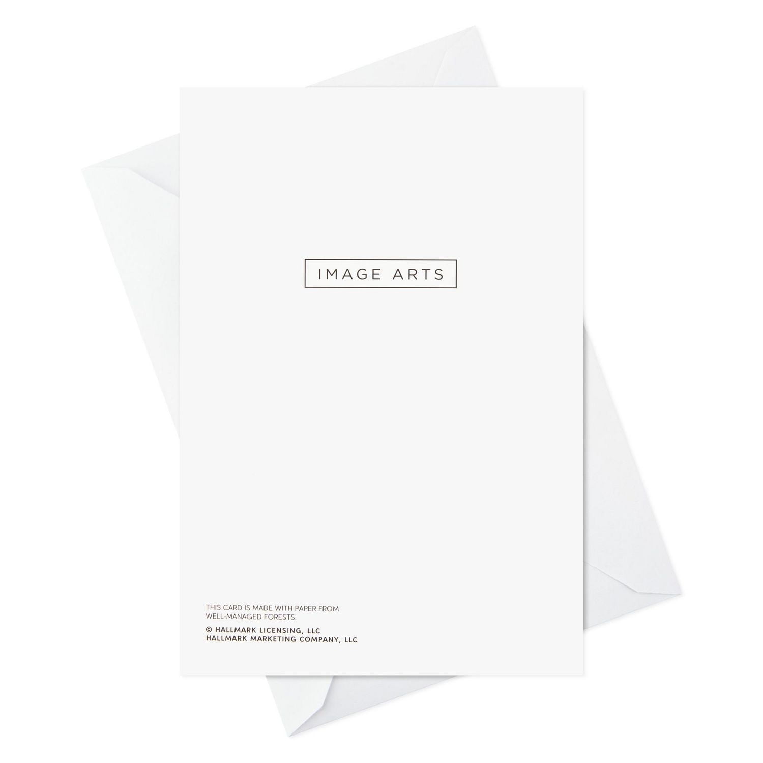 Boîte de 30 cartes de Noël Image Arts de Hallmark (Boules de Noël scintillantes)