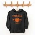thumbnail image 3 of Pumpkin Season Star Distressed - Toddler Hoodie, 3 of 9
