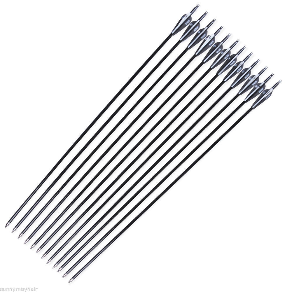 Antsir 12 pcs 30 Fiberglass Arrow 8 mm Spine 500 for Recurve/Compound Bow