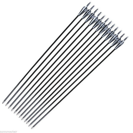Antsir 12 pcs 30 Fiberglass Arrow 8 mm Spine 500 for Recurve/Compound Bow