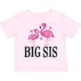 thumbnail image 3 of Inktastic Sister Announcement Flamingo Sister Girls Toddler T-Shirt, 3 of 5