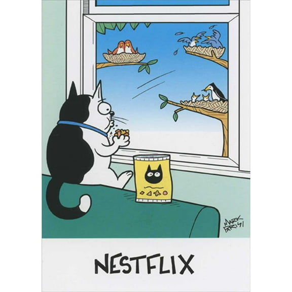 Oatmeal Studios Nestflix: Cat Watching Birds Through Window Funny / Humorous Birthday Card