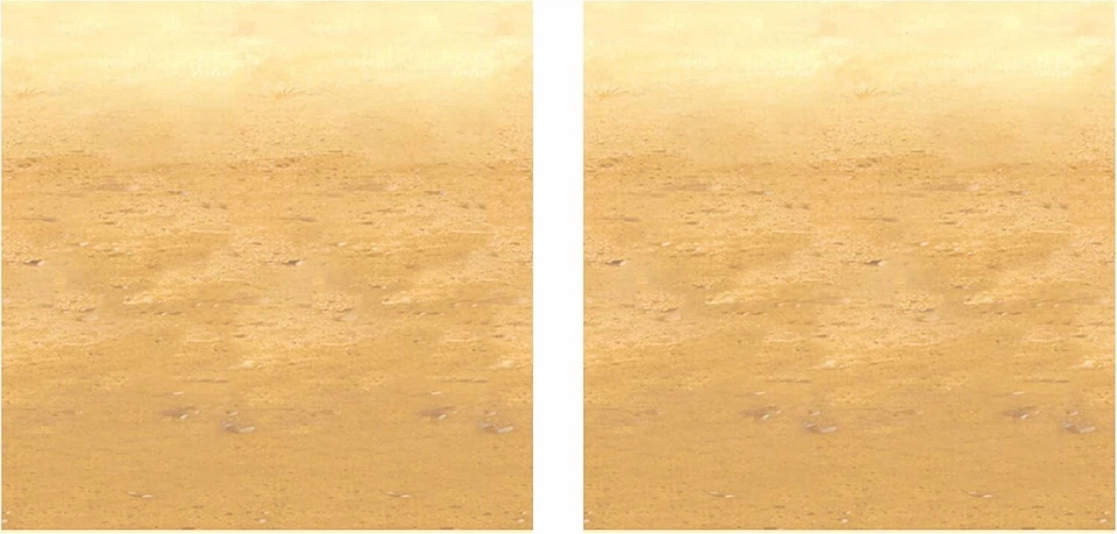 BUTTERFLY- Beistle Desert Sand Wall Backdrop, 4’ X 30’ Mural – Party Decorations, Western